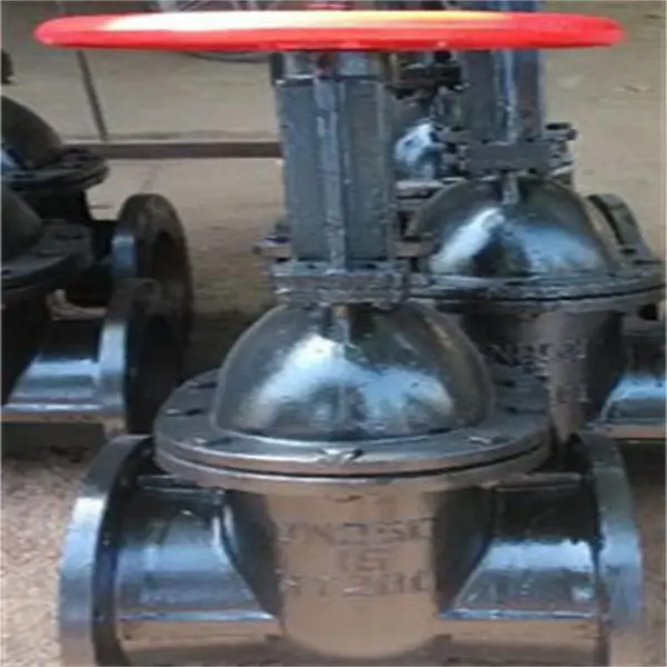 Z41T-10 DN250铸铁铜杆铜芯法兰闸阀自来水闸阀开关 冠桓阀门