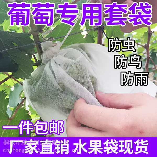 无纺布水果套袋的好处及原理