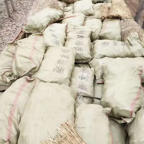 小马专业育苗基地--高淀粉耐储存-亩产万斤原种种薯美国9408