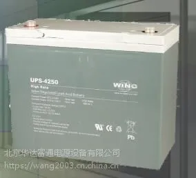 WING蓄电池（德国）价格及性能测量