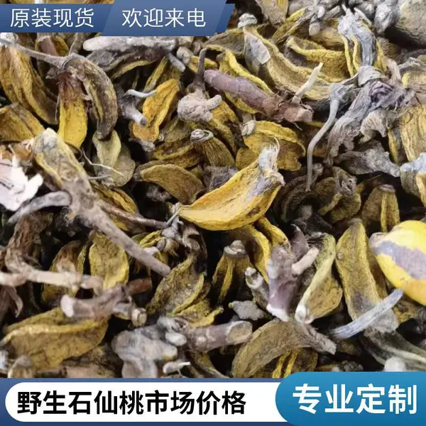 天然火伤叶中药材批发 中药材石蝉草今年新货新货