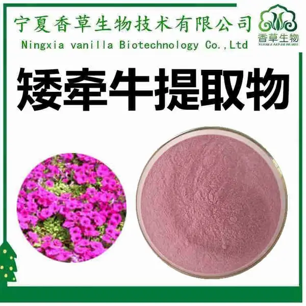 矮牵牛提取物 10:1 浸膏粉 矮牵 牛速溶粉 水溶 浓缩粉