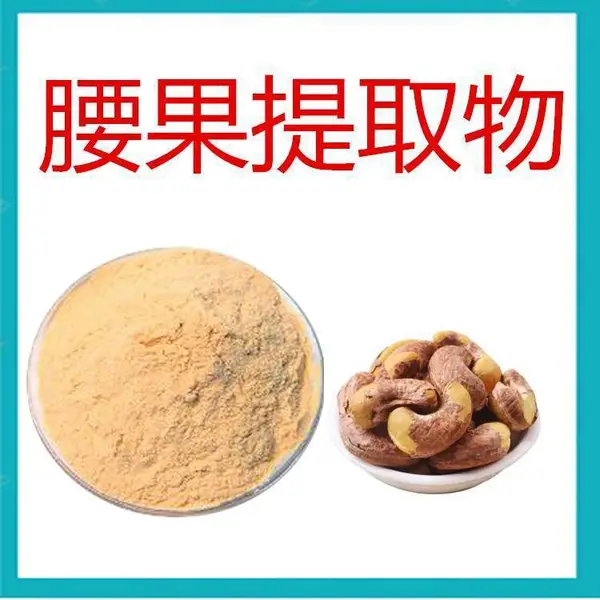 腰果提取物 斯诺特生物 水溶性很好 食品代餐粉饮料原料
