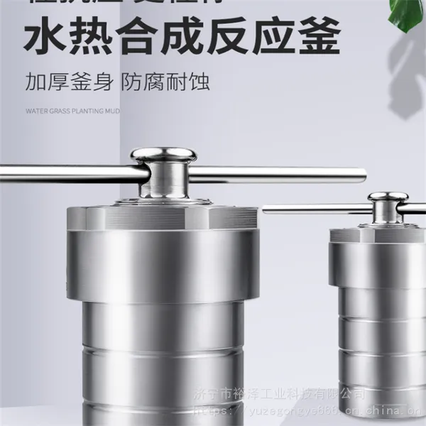 水热合成反应釜100ml不锈钢小型高温高压力聚四氟乙烯内衬消解罐