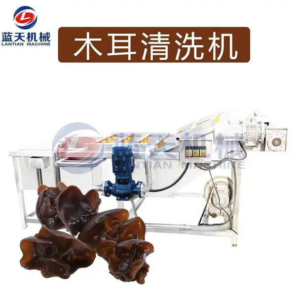 蓝天木耳清洗机 木耳气泡清洗机 黑木耳清洗机 黑木耳气泡清洗设备
