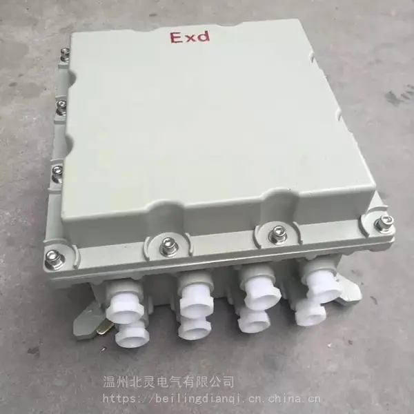 ���ø�������ѹ��Դ�Ǳ궨�ƽ��ߺн�����BHD20-10/127-12G