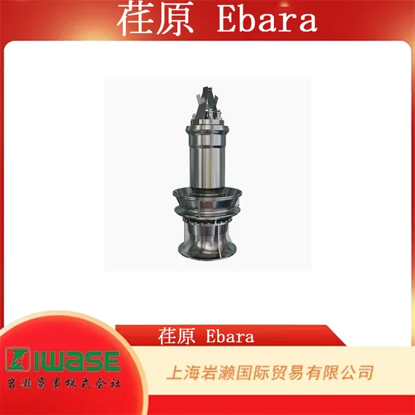 EBARA 荏原, DSZ型 立式潜水轴流泵 DSZ1000-3.0