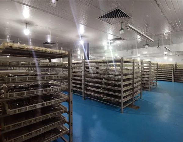 重庆火锅底料-火锅底料厂-盛世麒麟(优质商家)