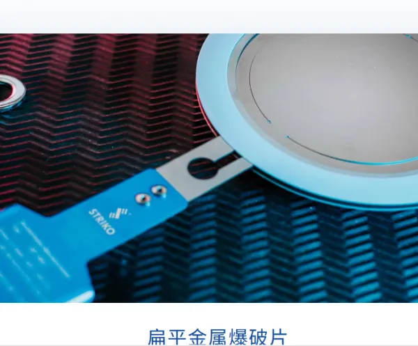 德国STRIKO石墨单体爆破片G3-M耐腐蚀性高用于化学行业