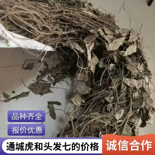通城虎/头发七野生中药材一手货源产地批发奇弘堂