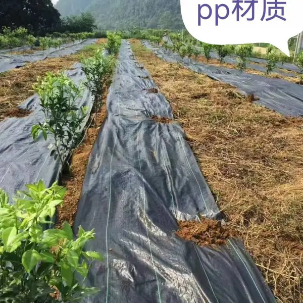 防草布批发 黑色编织布 适用茶园果园 防草防虫 厂家批发价