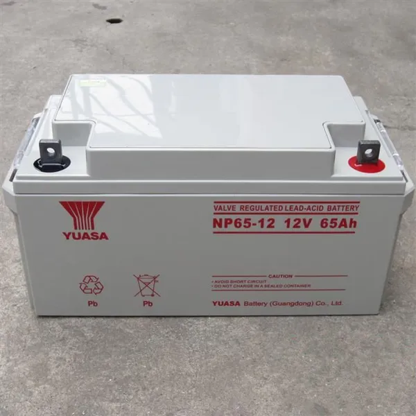 汤浅(YUASA)NP65-12/免维护蓄电池12V65AH太阳能/UPS专用蓄电池