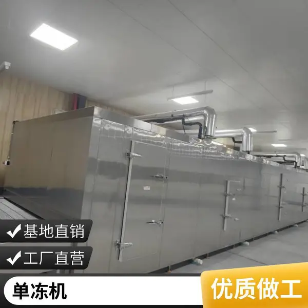 海鲜平网隧道式高效速冻机扇贝生蚝单冻机价格