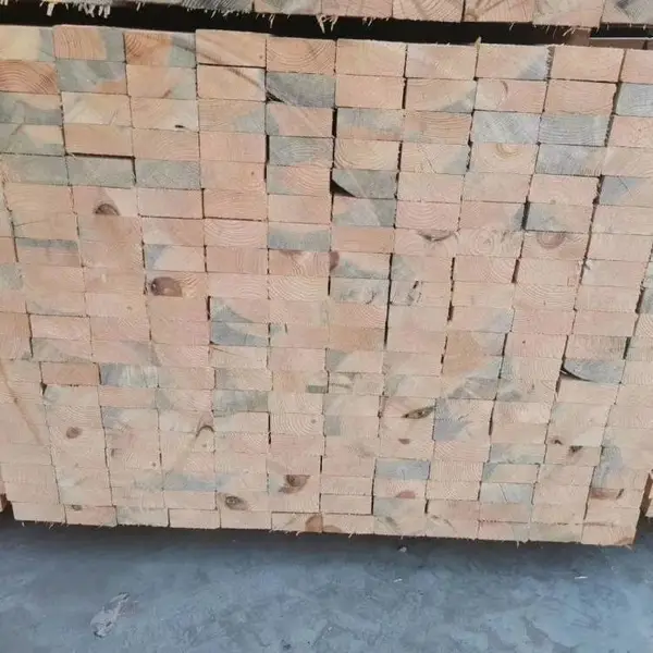 �żҿ�ľ��ľ�������ľ��
