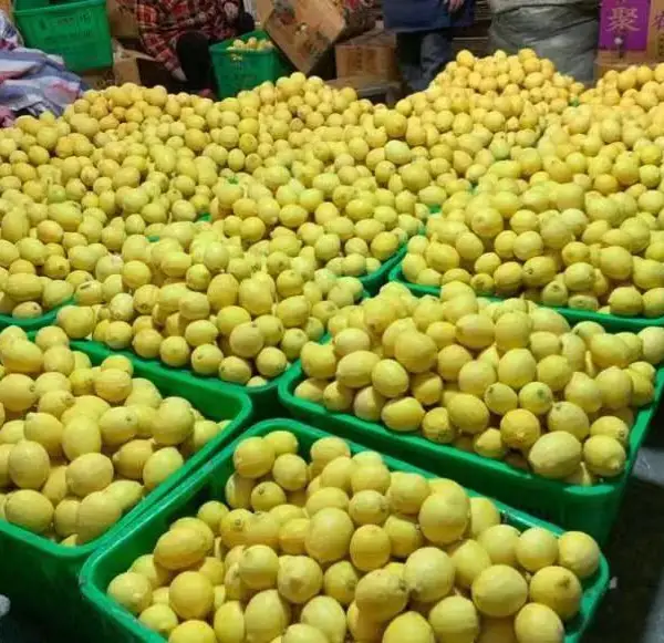 �� ��ˮ���� Ӧ ����ˮ���� ���г����;Ƶ� ʳ�� ��λˮ������