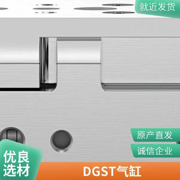DGST���� ����ʽ���Ͻ���ſɵ�����С������Ԫ��