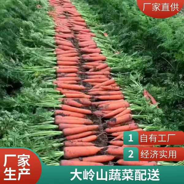 东莞东莞食堂承包 有机蔬菜配送 工厂食堂承包