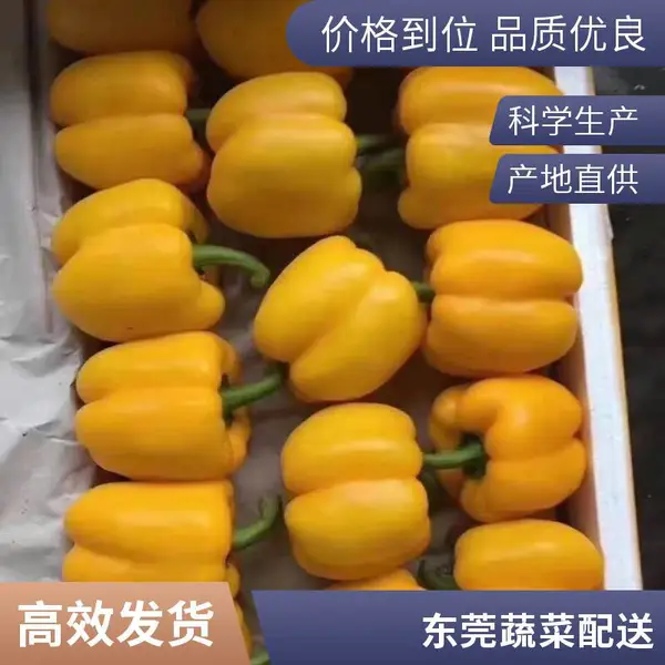 学校承包饭堂 蔬菜粮油配送 食堂外包 餐饮服务营养搭配合理