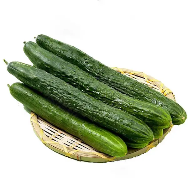 西安蔬菜配送公司,西安成品蔬菜配送,西安蔬菜同城派送