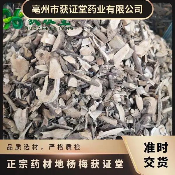 正宗药材地杨梅获证堂 原材料铁雨伞出售 无硫中药材状元红
