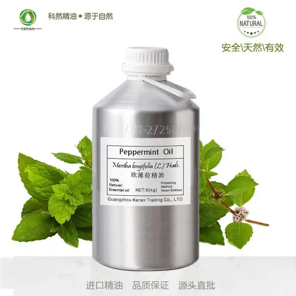 欧薄荷精油 进口精油 高纯度精油原料 椒样薄荷油 天然薄荷油