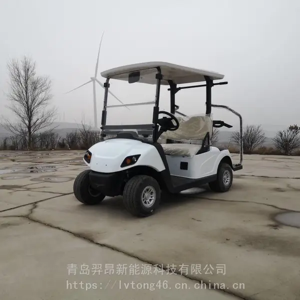 绿通高尔夫球车 高尔夫观光车 代步车 景区代步车 高尔夫球车