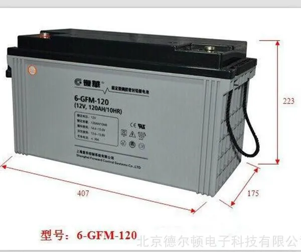 复华保护神蓄电池6-GFM-65免维护12V65AH机房UPS直流屏专用