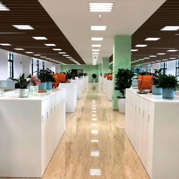 广州花木租摆服务方案办公室绿植盆栽怎么收费