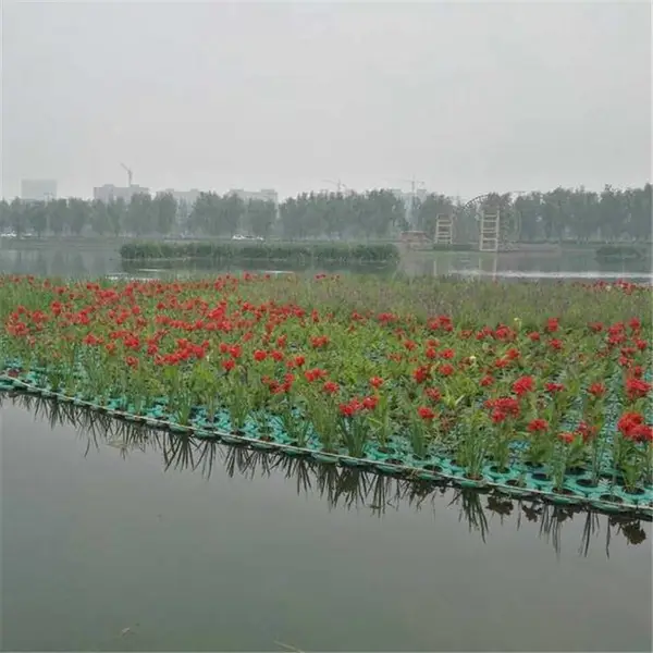 人工浮床 水生植物浮床 生态浮床