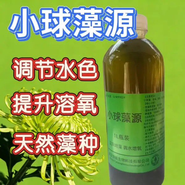 高磷旺藻素渔航生物厂家批发水产培藻肥水专用生物肥改善肠道