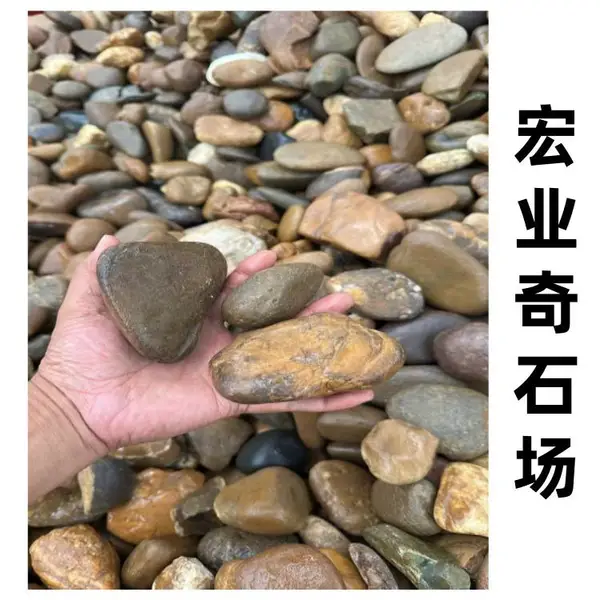 园林造景鹅卵石,杂色天然鹅卵石,清远产地发货,可寄送样品