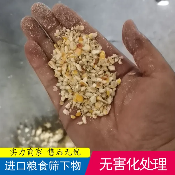 西藏工作视频口岸粮食处理诸城巨创