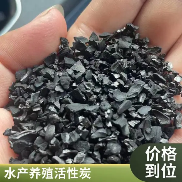 自来水厂用椰壳活性炭 饮用水深度净化 颗粒活性炭支持定制