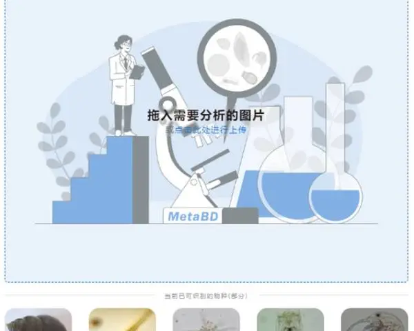 ��������ֲ������Ǵ��� ���պ��ڰٵ�����Ƽ���Ӧ