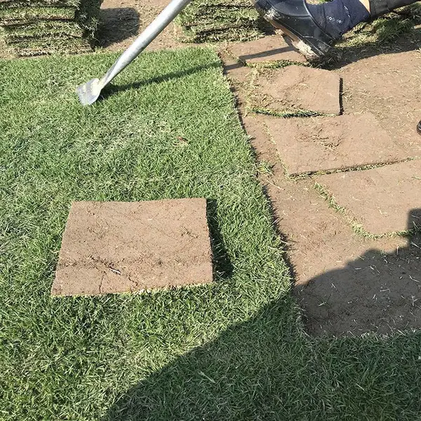 ���ϳ��ݲ�Ƥ ��������Ƥ�۸� ̨��ݾ����� �̻���Ƥ