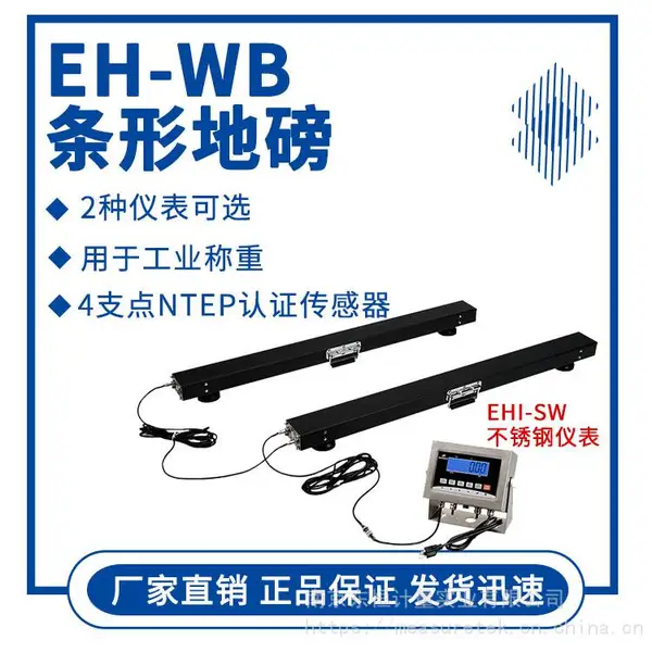 MEASURETEK/东恒 条形电子地磅EH-WB量程2.5吨精度0.5kg 碳钢喷塑可移动