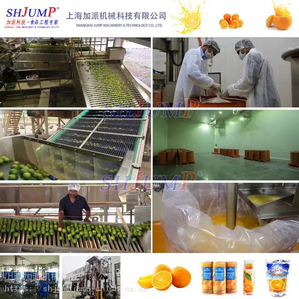 柑橘类水果加工生产线 橙汁加工生产线 柠檬汁提取设备 浓缩橙汁