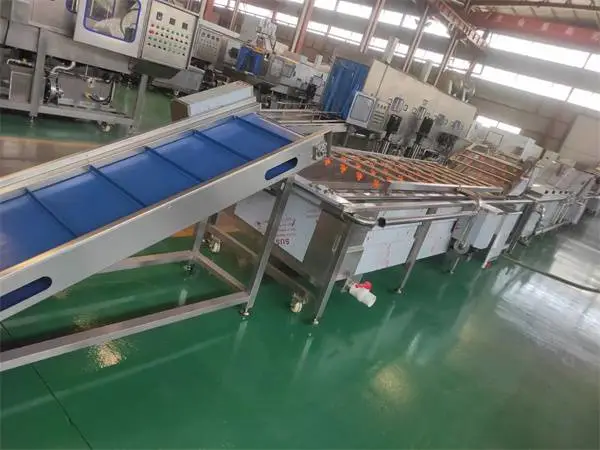 全自动蔬菜清洗机 农作物去农残清洗设备 通用型泡清洗机