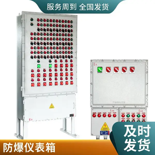 防爆控制柜立式成套箱体 泵房 BXK 防爆控制箱防爆仪表接线箱