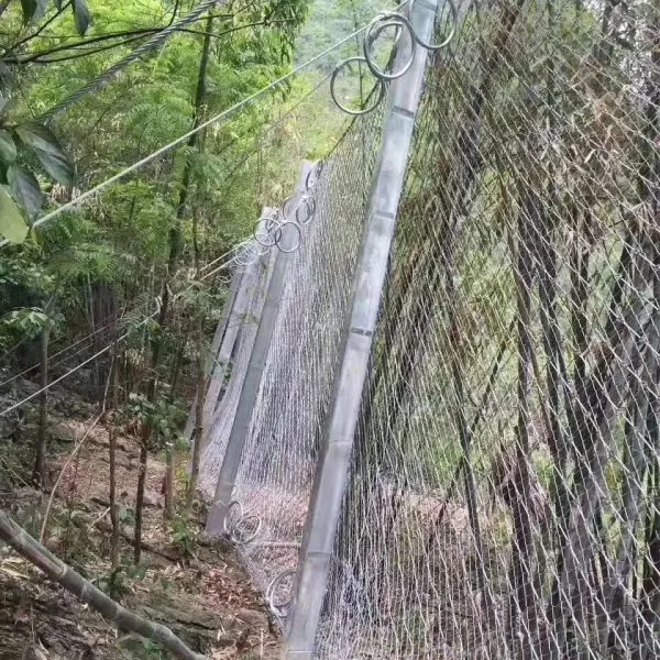 ���θ�˿��������