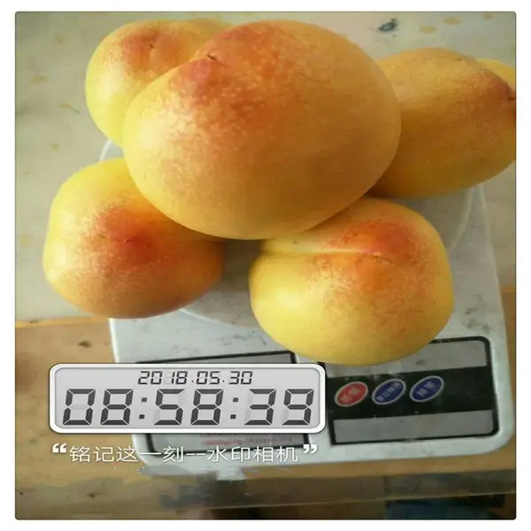 ������������ϵ������ ���1���� ����Ǯһ�� ����ռ����