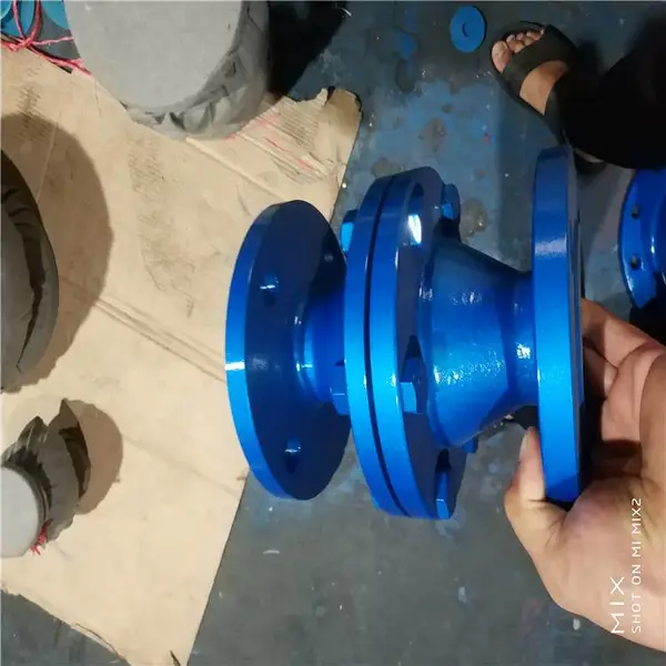 ZGB-1 DN80���ƴ���������ߴ�-�ṹͼ��˵����-ȼ����