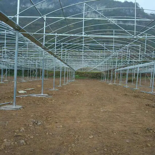 广东云浮葡萄连体大棚每亩预算 蔬菜育苗连栋大棚每平方造价