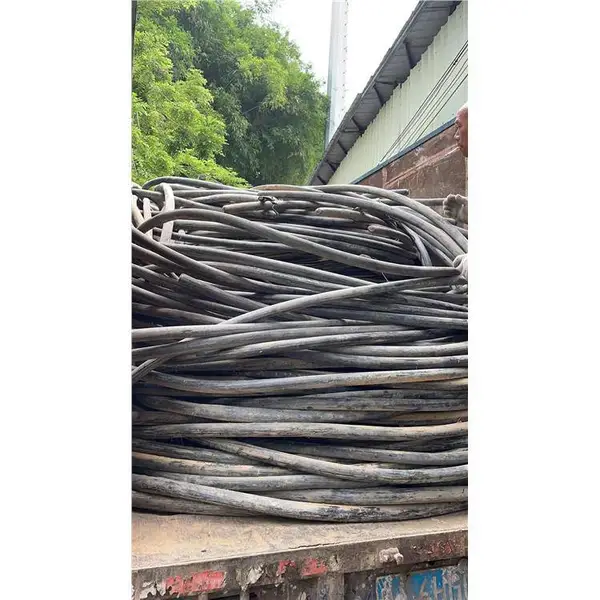 ���ն��ֵ��� ���ڱ����������վɵ��³���
