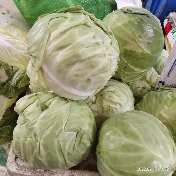 深圳市宝安区蔬菜配送 公司送 货到家 食材配送质量保证 按需求配送