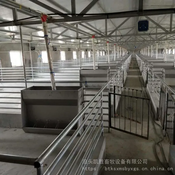 承揽自动饲喂系统/养殖养猪自动料线/养猪料线/猪自动化喂料
