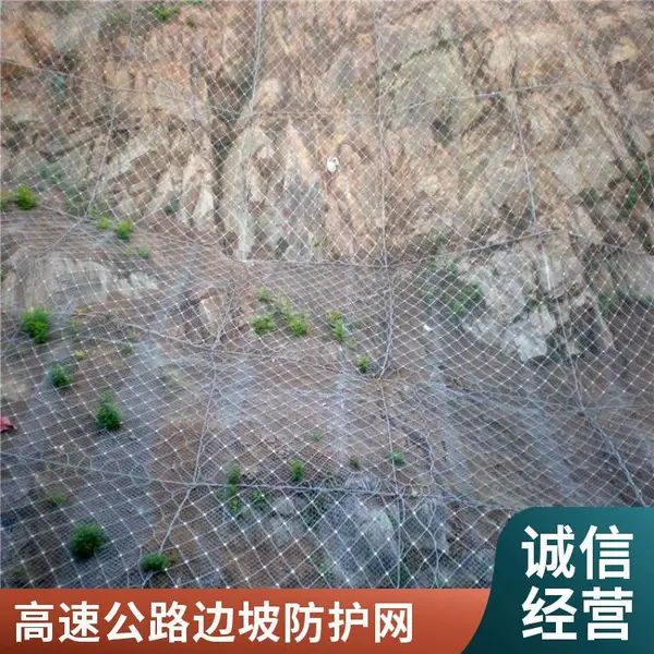 边坡落石防护网 山体柔性防护网 高速铁路沿线护坡网 工程防护材料