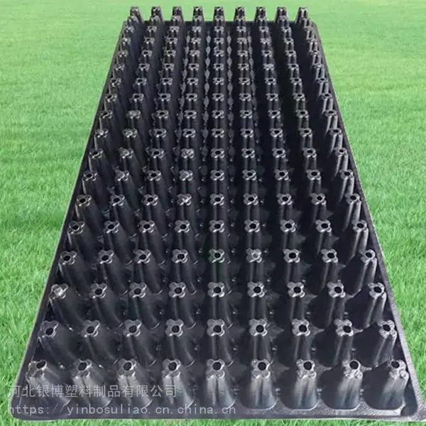 大棚蔬菜育苗盘 162孔基质穴盘尺寸540*280穴孔深40mm