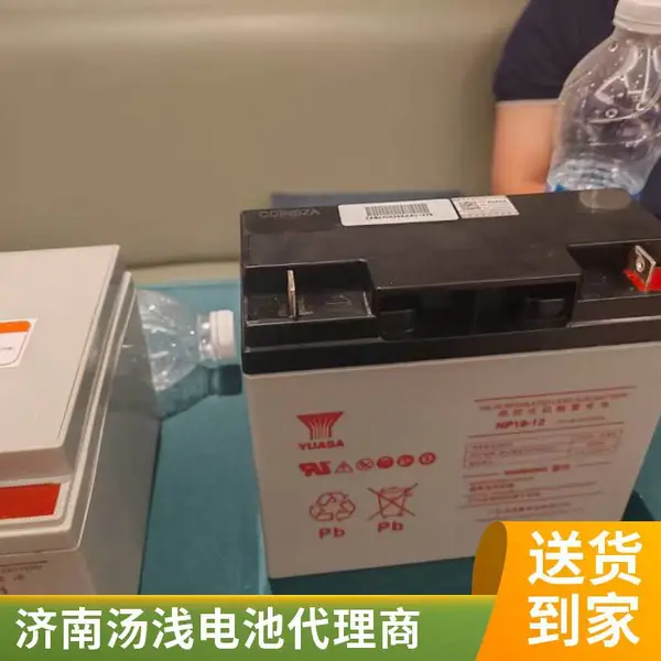 汤浅蓄电池(YUASA)NP110-12 12V110AH直流屏ups太阳能储能