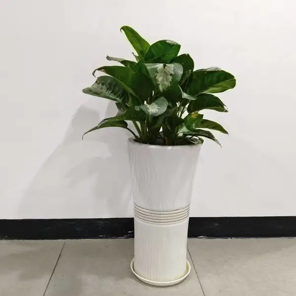 ��ֲ���� ������Ȧ�����ɹ� Ʒ�ַḻ�۸�ʵ�� Ʒ�ַḻ�۸�ʵ��